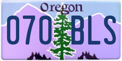 OR license plate 070BLS