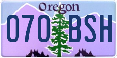 OR license plate 070BSH