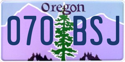 OR license plate 070BSJ
