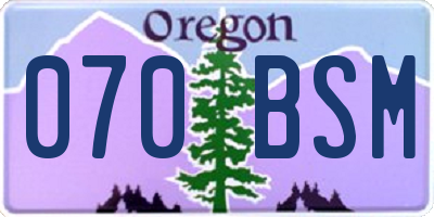 OR license plate 070BSM