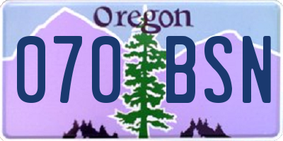 OR license plate 070BSN
