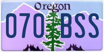 OR license plate 070BSS