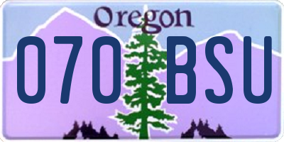 OR license plate 070BSU