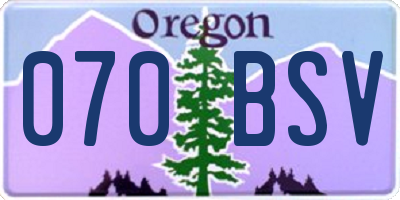 OR license plate 070BSV