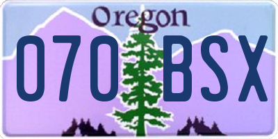 OR license plate 070BSX