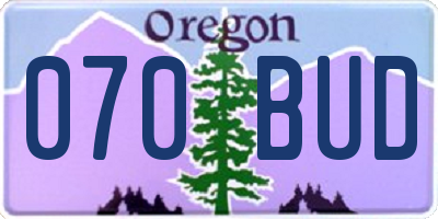 OR license plate 070BUD