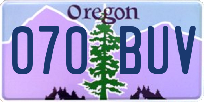 OR license plate 070BUV