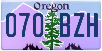 OR license plate 070BZH