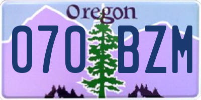 OR license plate 070BZM