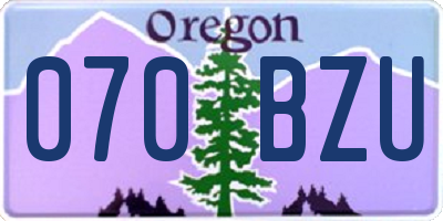 OR license plate 070BZU