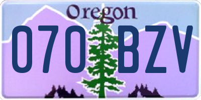 OR license plate 070BZV