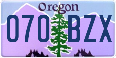 OR license plate 070BZX