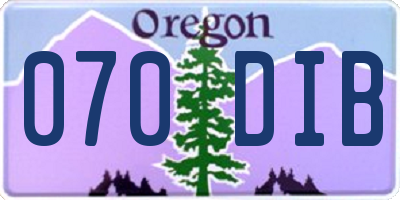 OR license plate 070DIB