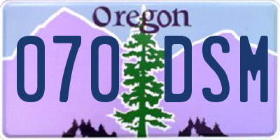 OR license plate 070DSM