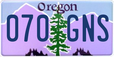 OR license plate 070GNS