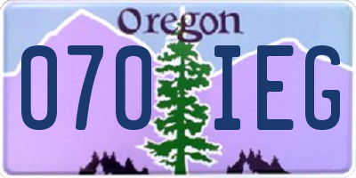 OR license plate 070IEG
