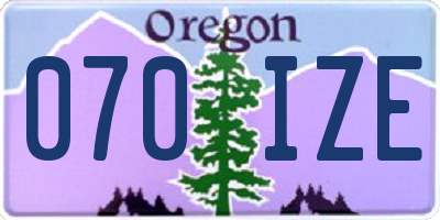 OR license plate 070IZE