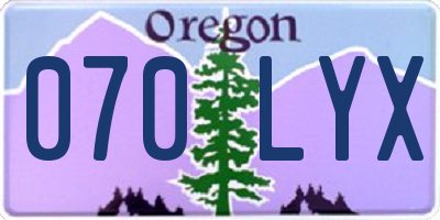 OR license plate 070LYX