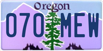 OR license plate 070MEW