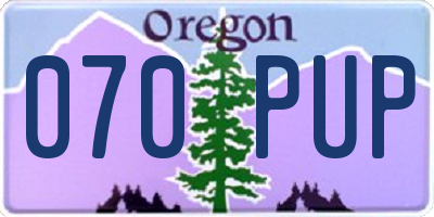 OR license plate 070PUP