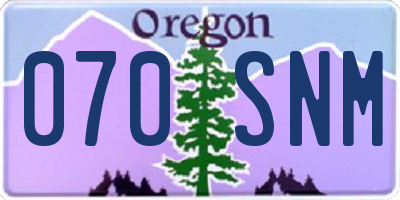 OR license plate 070SNM