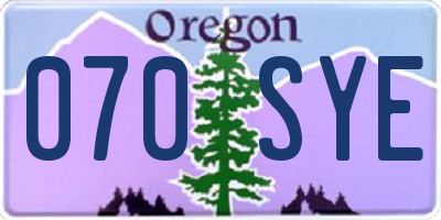 OR license plate 070SYE
