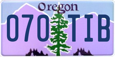 OR license plate 070TIB