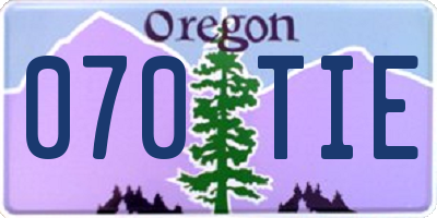 OR license plate 070TIE