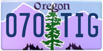 OR license plate 070TIG
