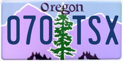OR license plate 070TSX