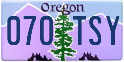 OR license plate 070TSY