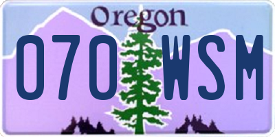 OR license plate 070WSM