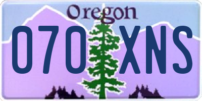 OR license plate 070XNS