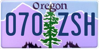 OR license plate 070ZSH