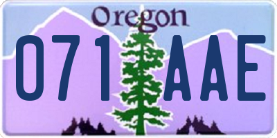 OR license plate 071AAE
