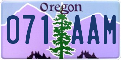 OR license plate 071AAM