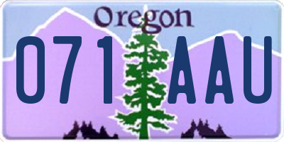 OR license plate 071AAU