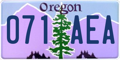 OR license plate 071AEA