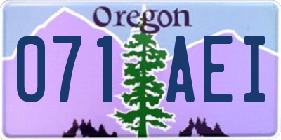 OR license plate 071AEI