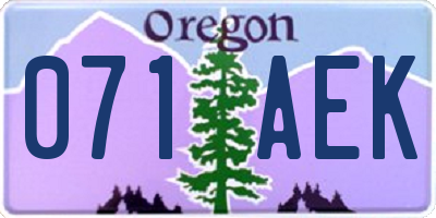 OR license plate 071AEK