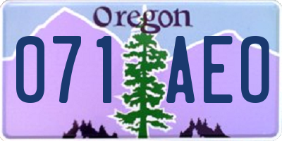 OR license plate 071AEO