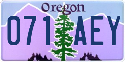 OR license plate 071AEY