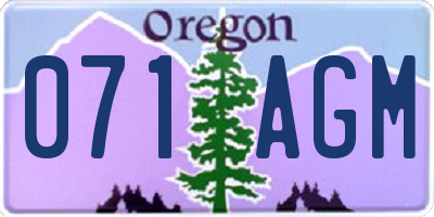 OR license plate 071AGM