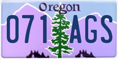 OR license plate 071AGS