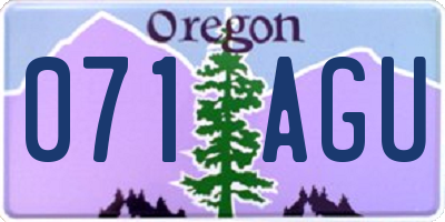 OR license plate 071AGU