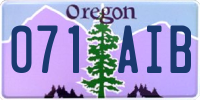 OR license plate 071AIB