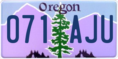 OR license plate 071AJU