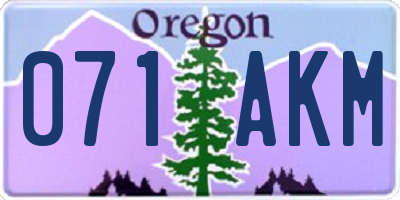 OR license plate 071AKM