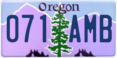 OR license plate 071AMB