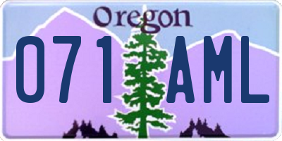 OR license plate 071AML